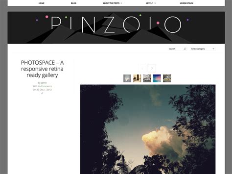 Pinzolo – WordPress theme | WordPress.org