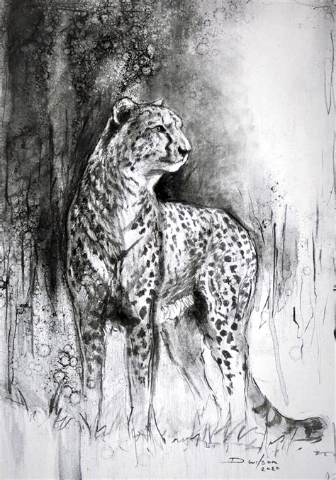 Charcoal Cheetah Drawing | Cheetah drawing, Charcoal art, Wildlife artists