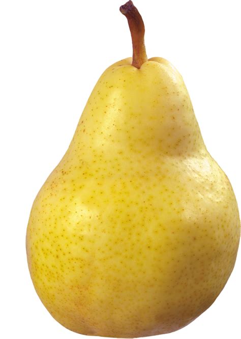 Free Pear PNG Transparent Images, Download Free Pear PNG Transparent Images png images, Free ...