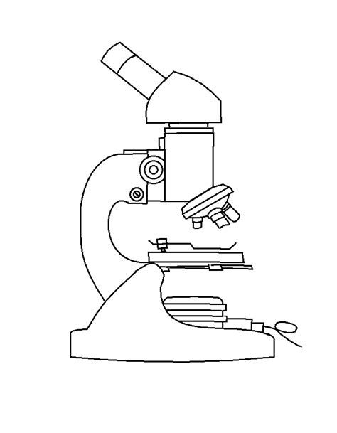 NEW DRAWING IMAGES FROM A MICROSCOPE | Drawing Tips 4 - Cliparts.co