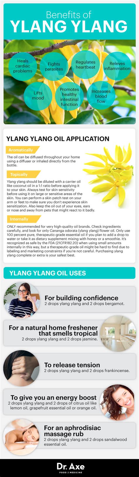 Ylang Ylang Benefits, Uses, Recipes and Side Effects – General Health Magazine