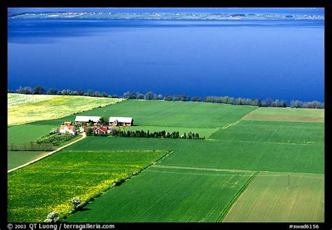 Picture/Photo: Fields bordering lake Vattern near Granna. Gotaland, Sweden