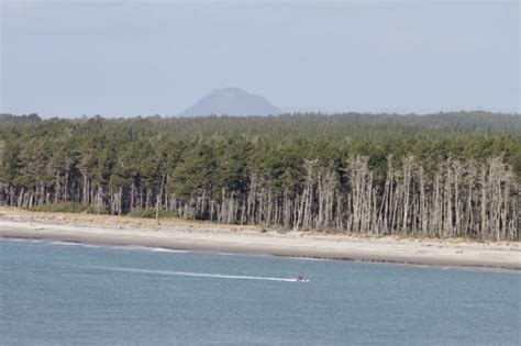 View of Mt Matakana Island in Tauranga Harbour - Virily