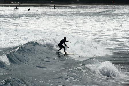 Playa Las Canteras Whale, Surf, Animals, Beach, Summer Time, Sports, Whales, Animales, Surfing