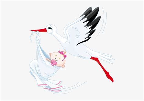 41 - Stork With Baby Vector Transparent PNG - 485x500 - Free Download on NicePNG