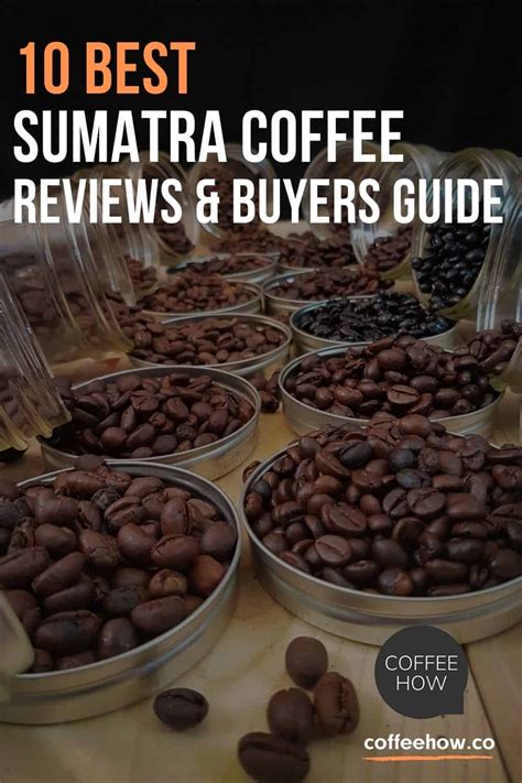 10 Best Sumatra Coffee Beans! Real Facts, Reviews and Story