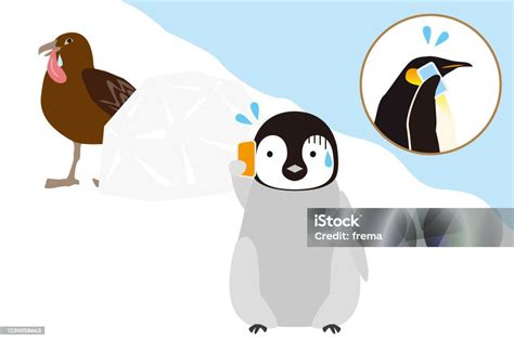 Emperor Penguin Kid Being Targeted By A Skua Stock Illustration ...