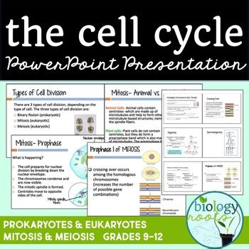 Cell Division PowerPoint Mitosis and Meiosis by Biology Roots | TpT