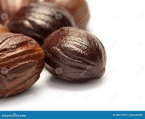 Nutmeg (jaifal India ) Myristica Fragrans Stock Image - Image of spice, herbal: 46677453