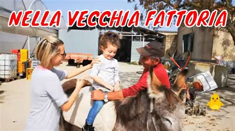 NELLA VECCHIA FATTORIA - YouTube