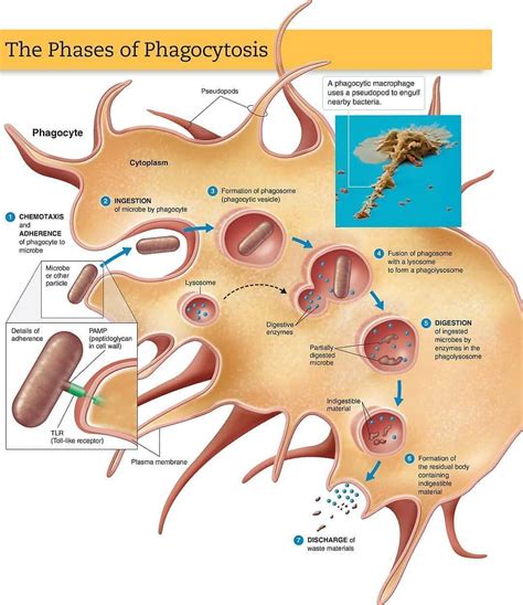 Pin page