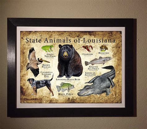 Louisiana State Animals Poster Print - Etsy