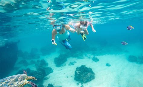 5 Helpful Tips for Snorkeling in Panama City Beach - RealJoy