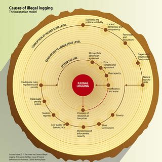 Causes of illegal logging | There are many different causes … | Flickr