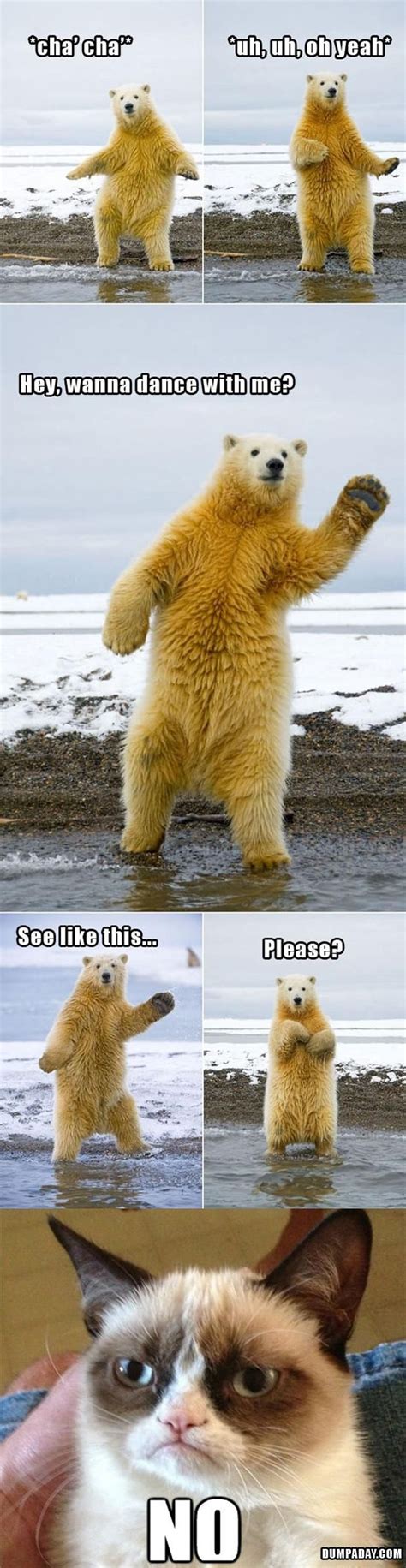 funny polar bear pictures | ... Day grumpy cat, dancing with polar bear, funny pictures - Dump A ...