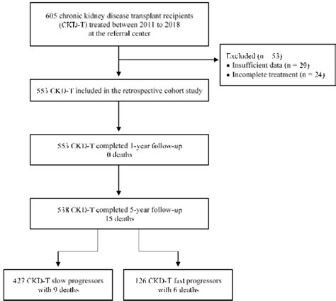 Flow chart of a retrospective cohort study survival analysis. | Download Scientific Diagram