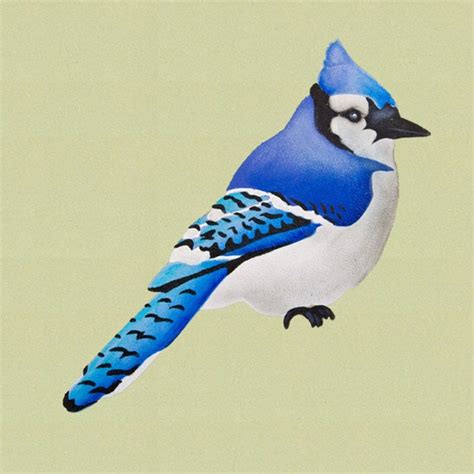 Items similar to Blue Jay Layered Bird Art Stencil - Profile - 15" x 6 ...