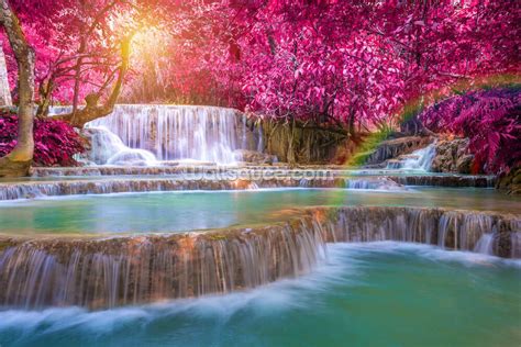 Blossom Waterfall Wall Mural Wallpaper | Wallsauce AE