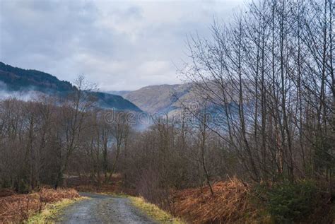 Strathyre trail stock image. Image of outdoors, gravel - 111955381