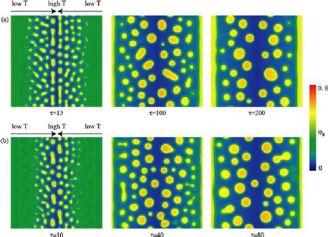 Phase separation patterns in polymer systems with LCST under a... | Download Scientific Diagram