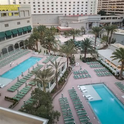 44+ Park Mgm Las Vegas Pool Reviews Background