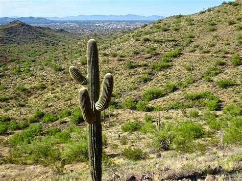 Best desert hikes in Phoenix: Trails for fall, winter spring