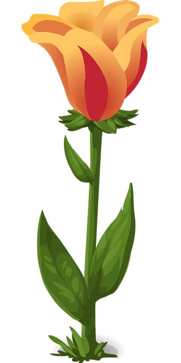 Download Tulips, Beautiful Flowers, Plants. Royalty-Free Vector Graphic ...