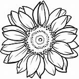 Big Sunflower Coloring Page Pages sketch template