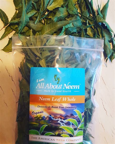 All About Neem| Organic, natural and fresh Neem Tea Bags