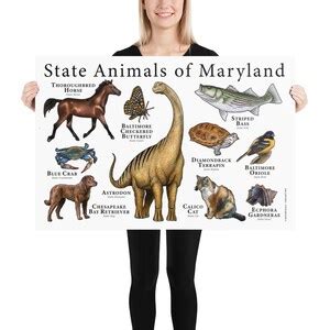 Maryland State Animals Poster Print - Etsy