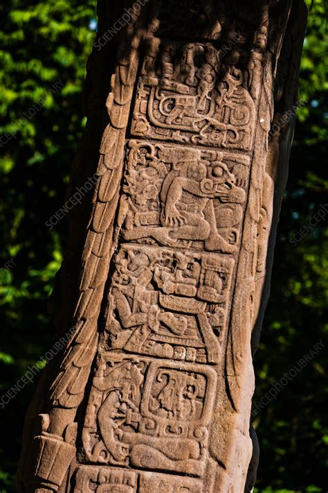 Quirigua, Guatemala - Stock Image - C034/4355 - Science Photo Library