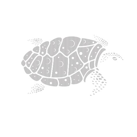 Download Old Turtle SVG | FreePNGImg