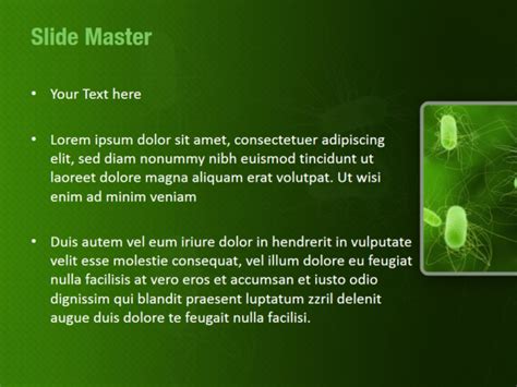 Bacteria PowerPoint Templates - Bacteria PowerPoint Backgrounds ...