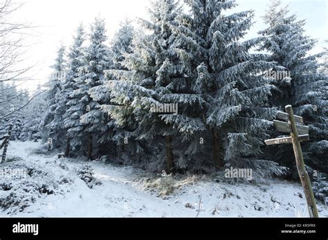 Winter im Harz Stock Photo - Alamy