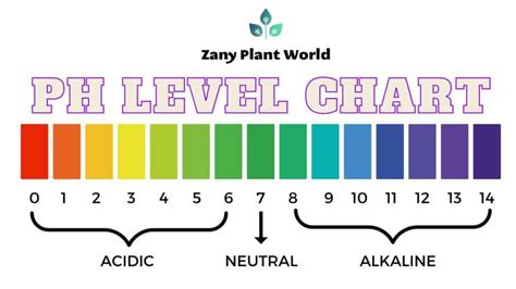 PH Water Levels For The Plants: Definition, Benefits, And Effects