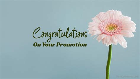 Congratulations On Promotion - DesiComments.com