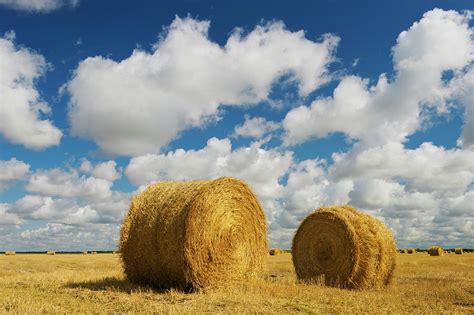 Straw Bales Photograph by Dave Reede - Fine Art America