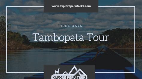 Tambopata Reserve 3 Day | Low Amazon Rainforest Expeditions