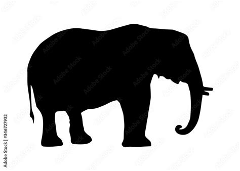 Silhouette of elephant on white background Stock Illustration | Adobe Stock