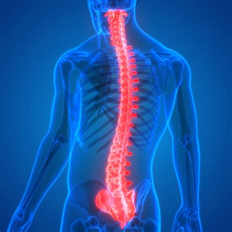 Understanding the Types of Back Pain and Their Causes and Risks