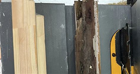 Repair of Rotten Wooden Window Frame: Jericho Case Study