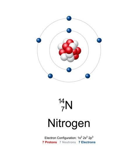 Nitrogen atom model of nitrogen-14 with 7 protons 7 - Royalty free image #31655295 ...