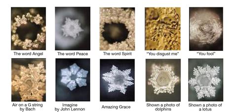 BOOK REVIEW: The Hidden Messages in Water by Masaru Emoto