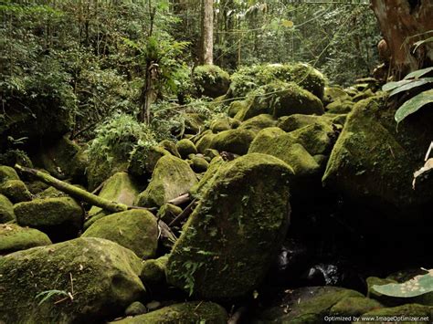 Kayan Mentarang National Park Tours,Wildlife Trekking Tour Expeditions at Kalimantan Indonesia