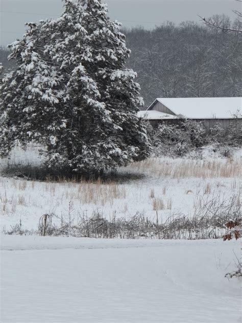 Blue Ridge Poet: Blue Ridge Mountains' Snow