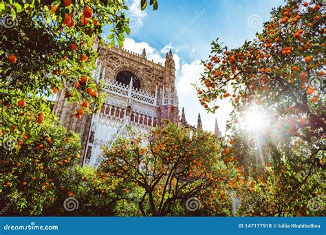 Spain, Andalusia, Seville, the Cathedral Bell Tower Seen from the ...