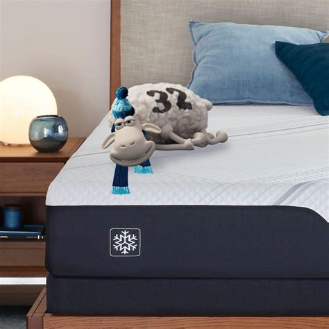 Serta® iComfort Limited Edition Plush | Best Mattress