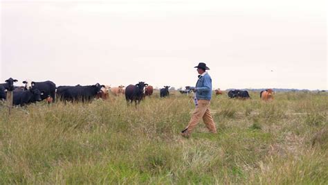 How Texas ranchers are fighting climate change [Essay]