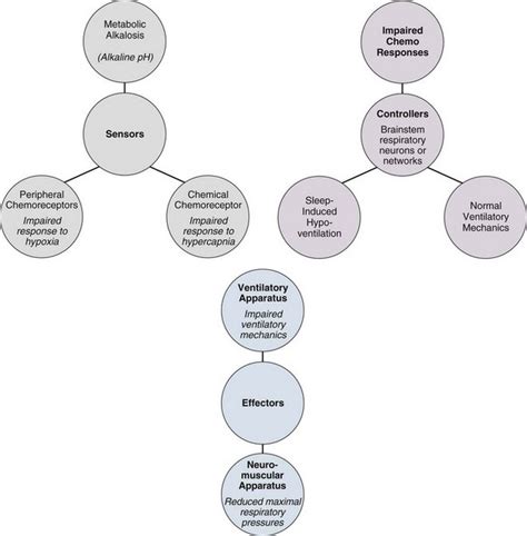 Nonpulmonary Causes of Respiratory Failure | Anesthesia Key