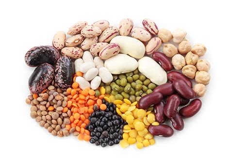 Common beans: A sustainable and inexpensive super food to fight against ...